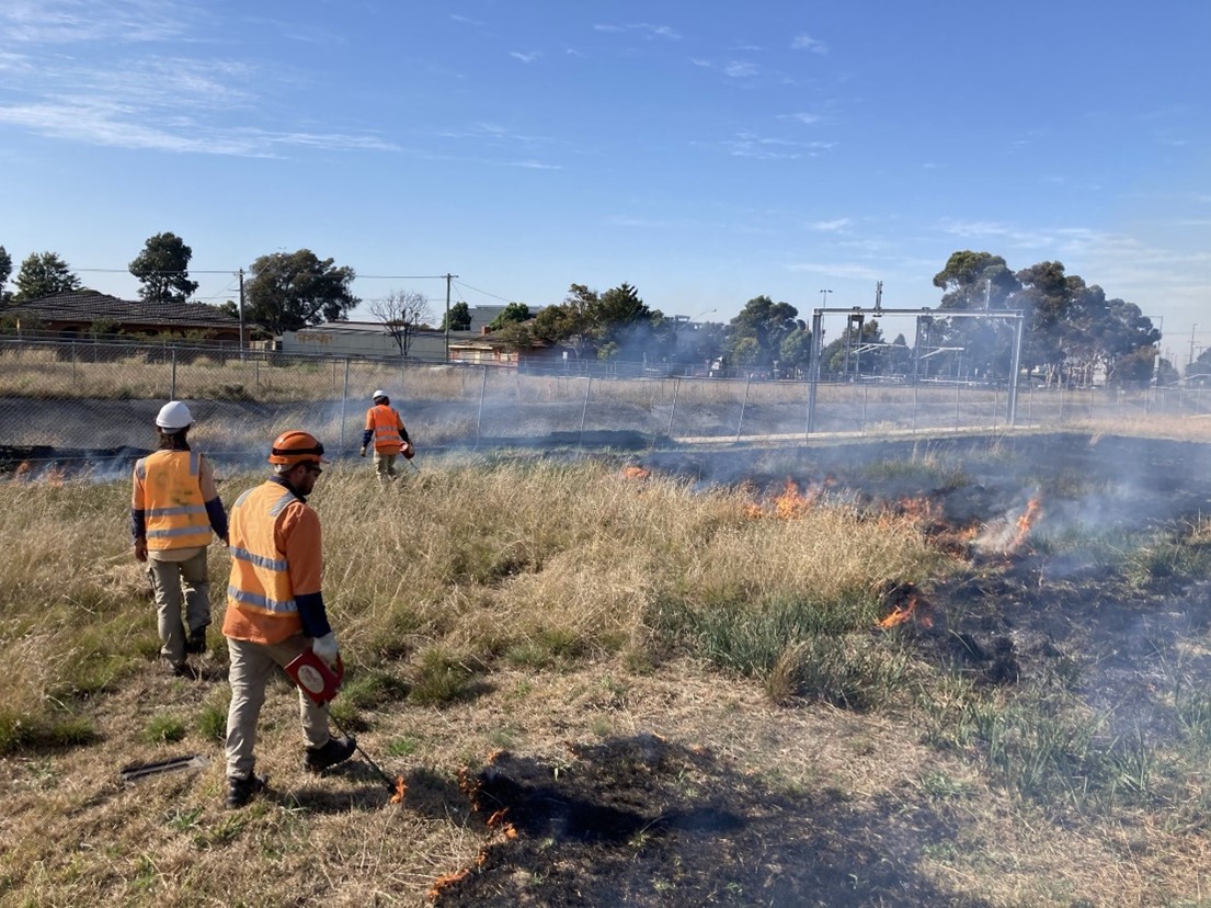 Ecological burn at St Albans. 